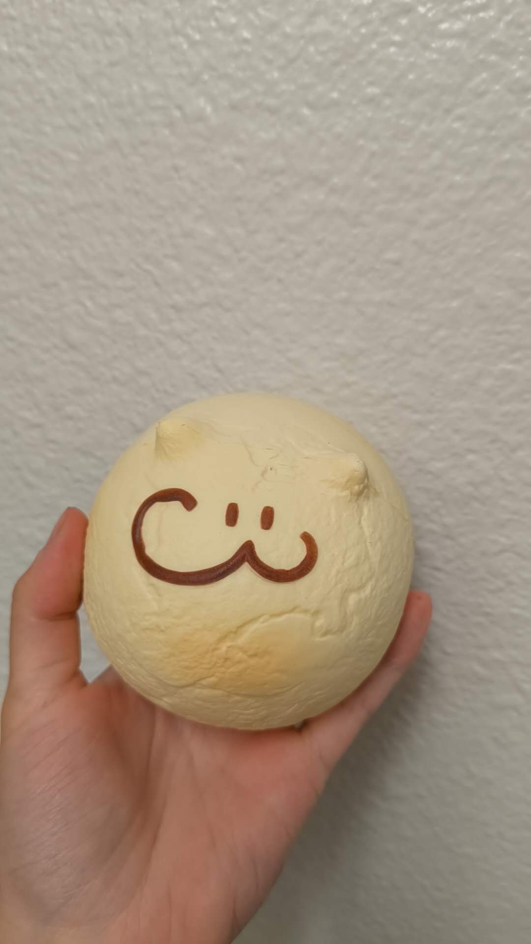 2403| Meow Mochi Slow Rising Squishy, Stress relief