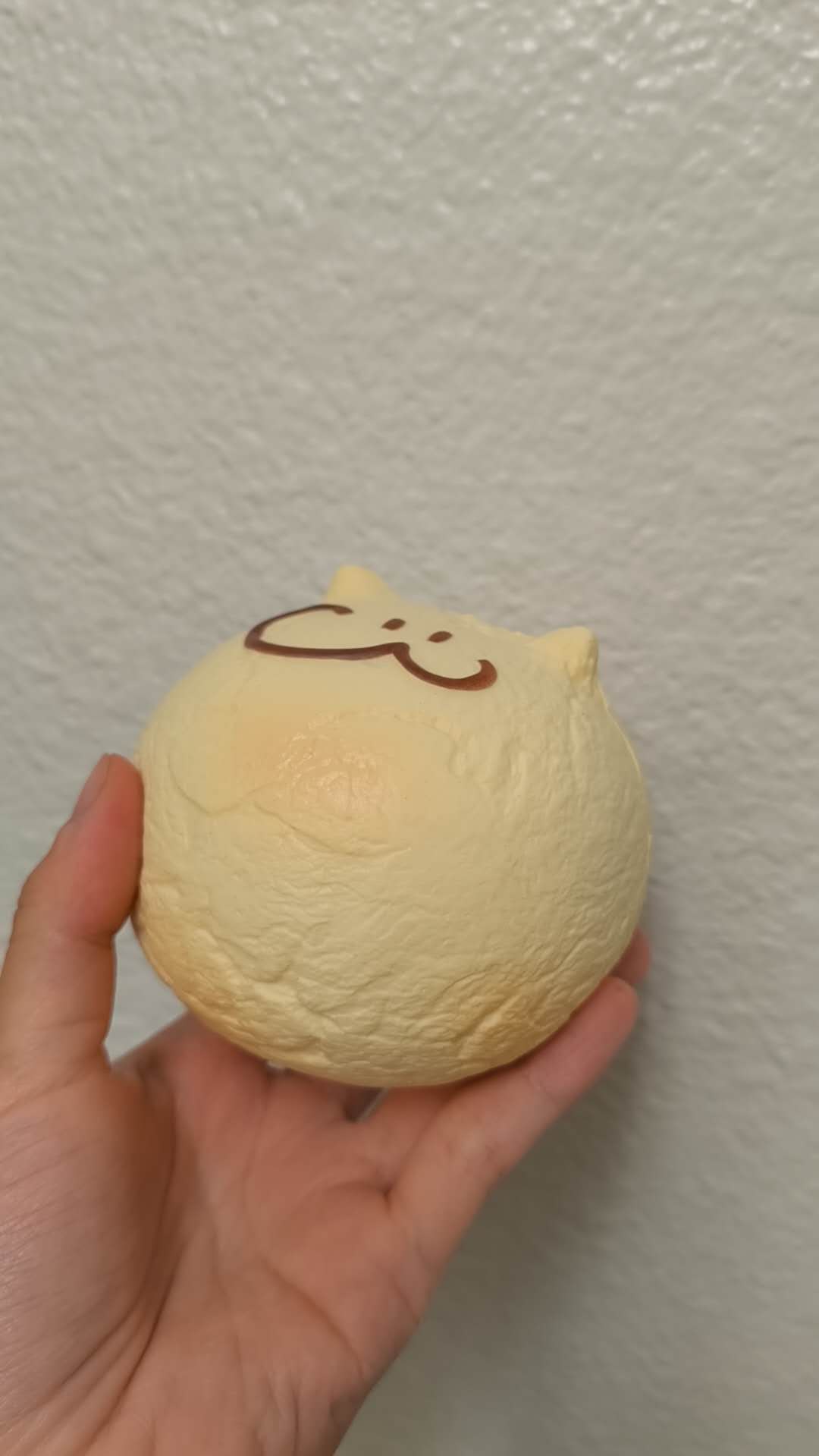 2403| Meow Mochi Slow Rising Squishy, Stress relief