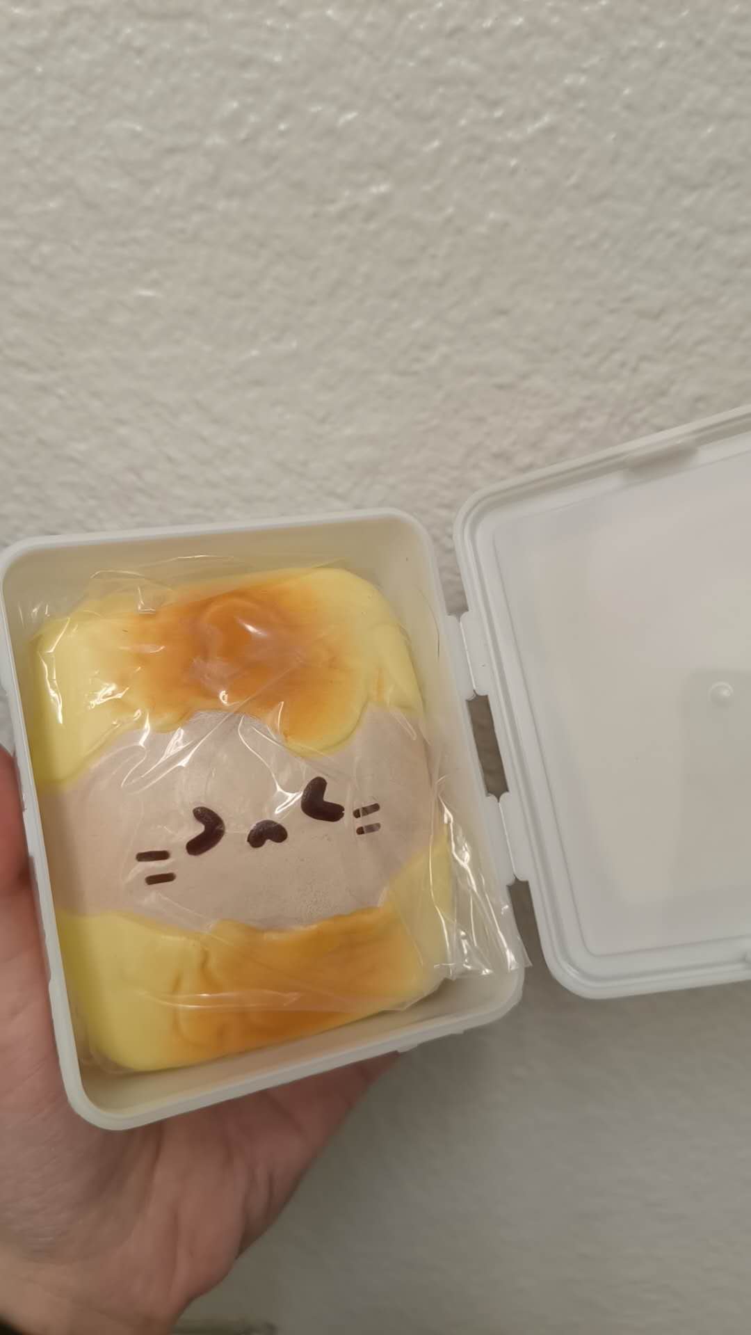 MH| Melty Cat Rice Cake Shape Slow Rising Squishy