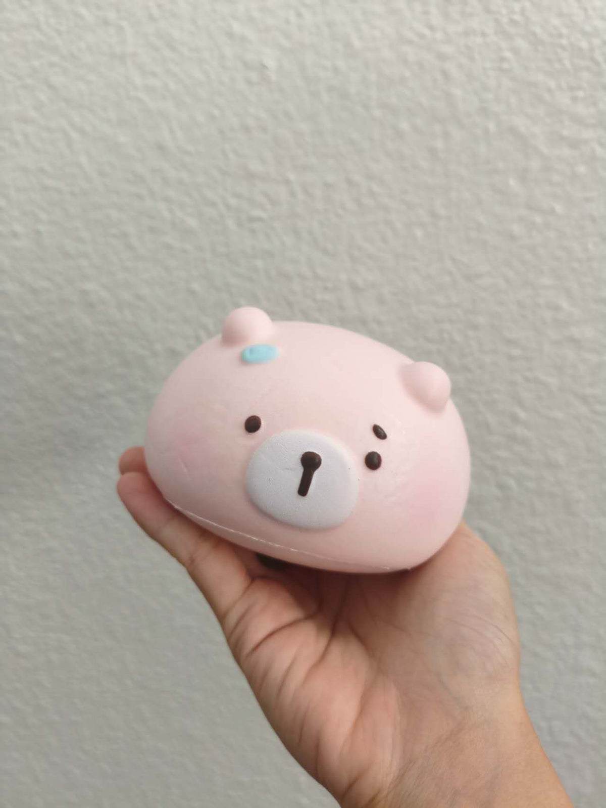 Baay Squishy | Ignoro Bear Slow Rebound Squishy (Slow Rising Stress Relief)