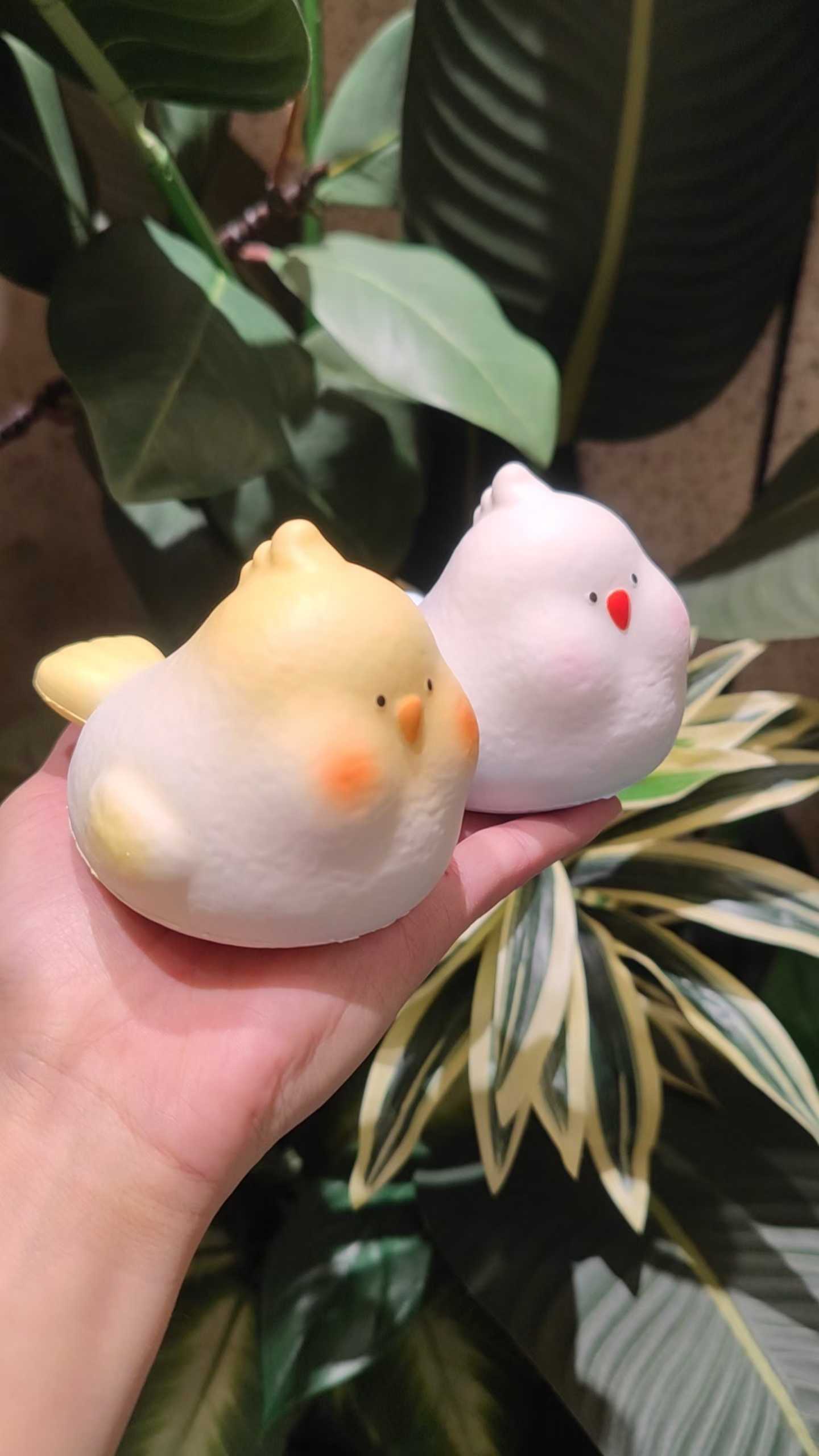LBLDuo| Softie Cockatiel