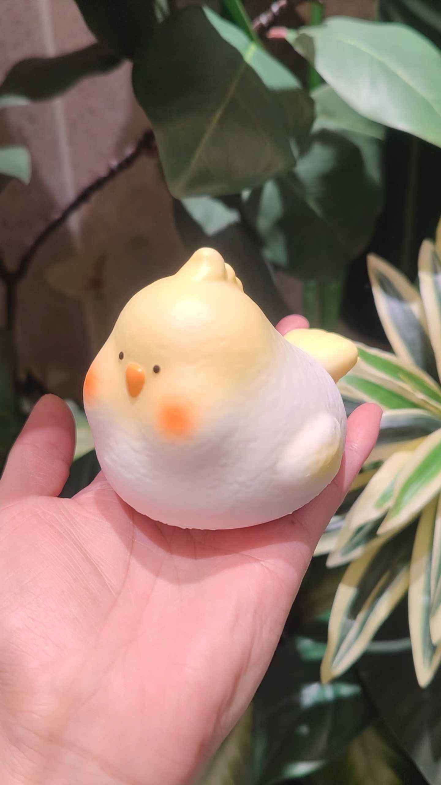 LBLDuo| Softie Cockatiel