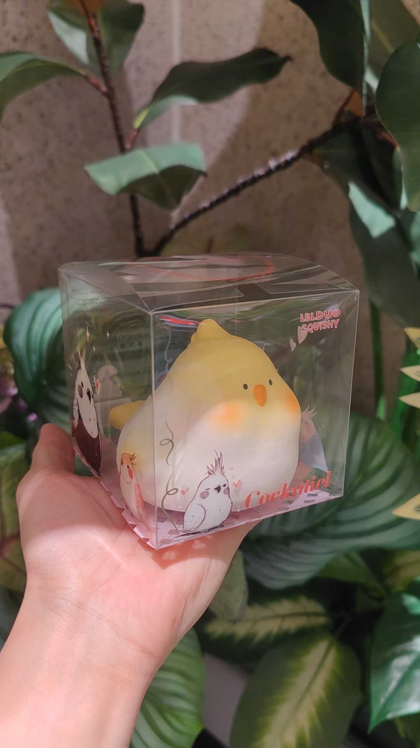 LBLDuo| Softie Cockatiel